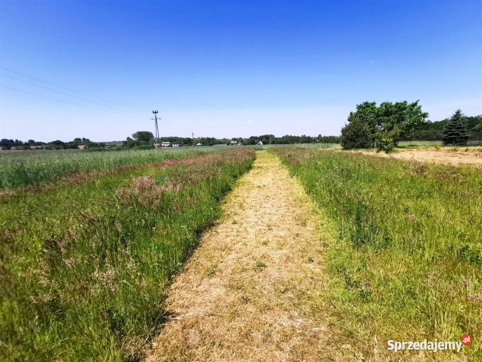 sprzedaży gruntu Brzeg 1272m2 18m sprzedam
