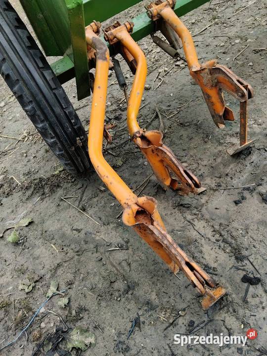 Redlice krzywe proste Amazone d7 d8 d4 świętokrzyskie Jałowęsy