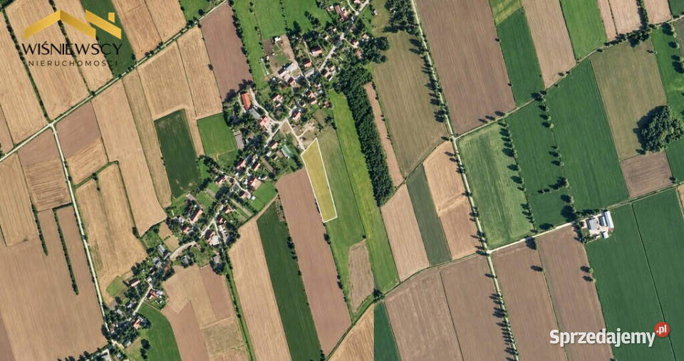 Dwie działki rolne w Zwierznie razem osobno rolna Zwierzno