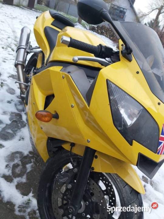 Triumph Daytona 600 Gaj