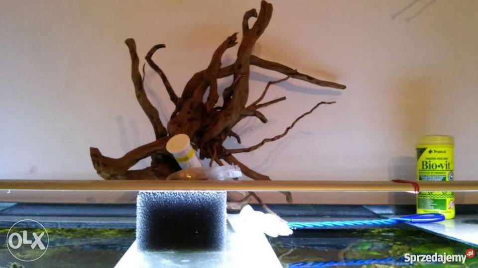 Zestaw akwarystyczny Poznań Poznań