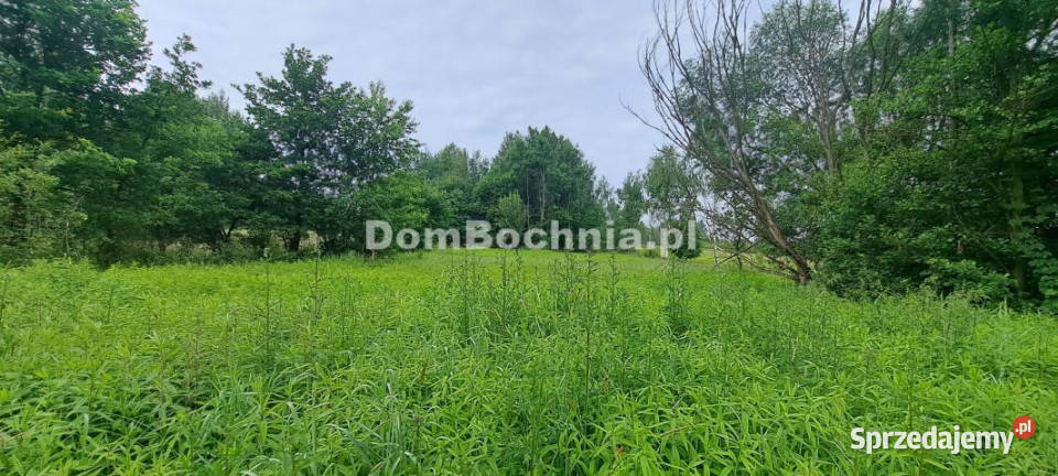 Grunt 5141m2 Borek