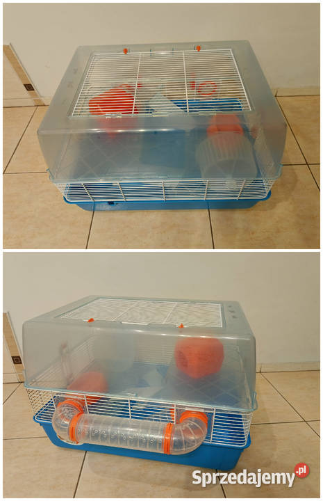 klatka klatka chomika klatka wielopoziomowa wielkopolskie Piła sprzedam