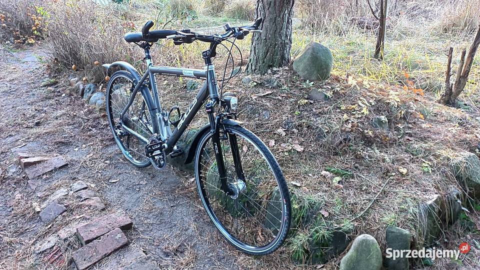 Alu Rower Miejski Męski Bulls Street Mover 3x9 Wołów