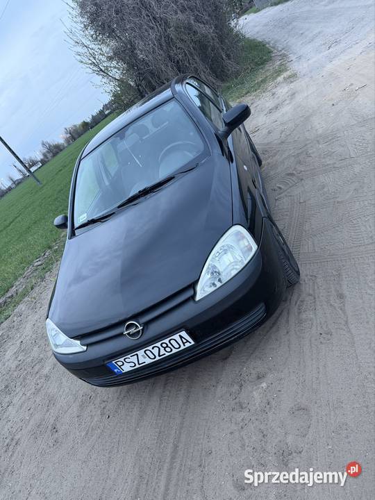 Opel Corsa 2002 12 Szamotuły
