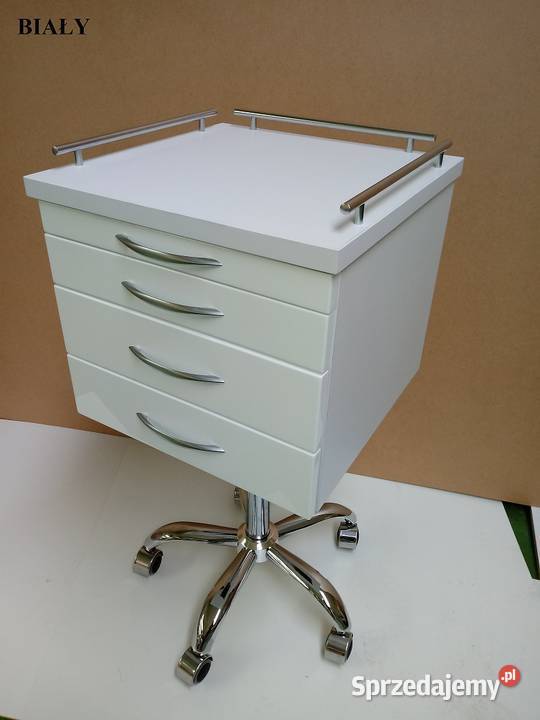 ASYSTOR STOMATOLOGICZNY BIAŁY LAKIER wielkopolskie Kalisz