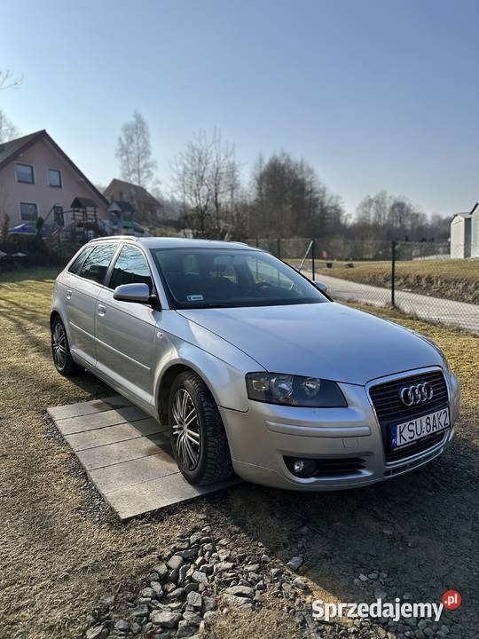 Audi A3 20 TDI 190 2006 Zadbane Bezwypadkowe
