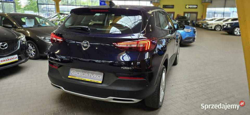 Opel Grandland X 20182019 OPIS W podanej roczna Grandland X śląskie Mysłowice