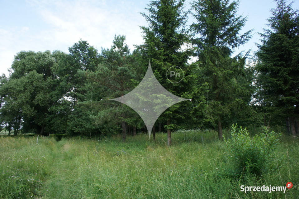 Działka rolnobudowlana j Tajno Orzechówka utwardzona sprzedam