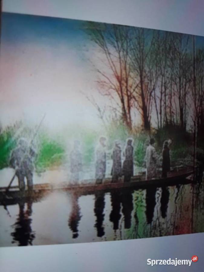 Perełka włoskiego Prog Rocka MAXOPHONE Italian