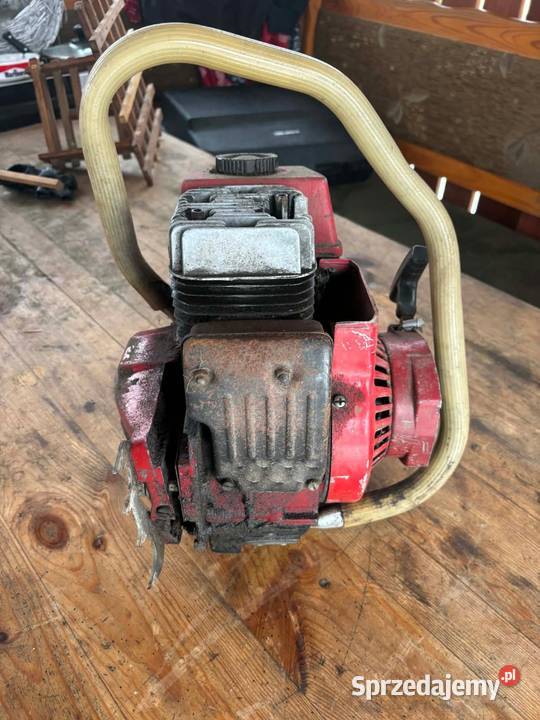 Piła dolpima mazowieckie Chorzele