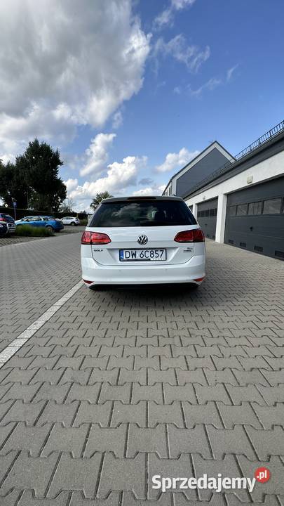 Volkswagen Golf 7 VII kombi 131 diesel Golf Samochody osobowe