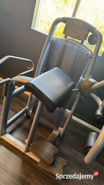 Zestaw maszyn Technogym Selection 17 sztuk