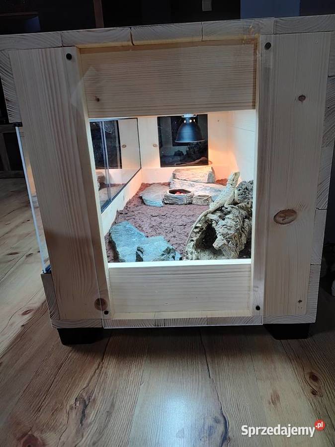 Terrarium drewniane agama brodata gekon wąż Siemianowice Śląskie
