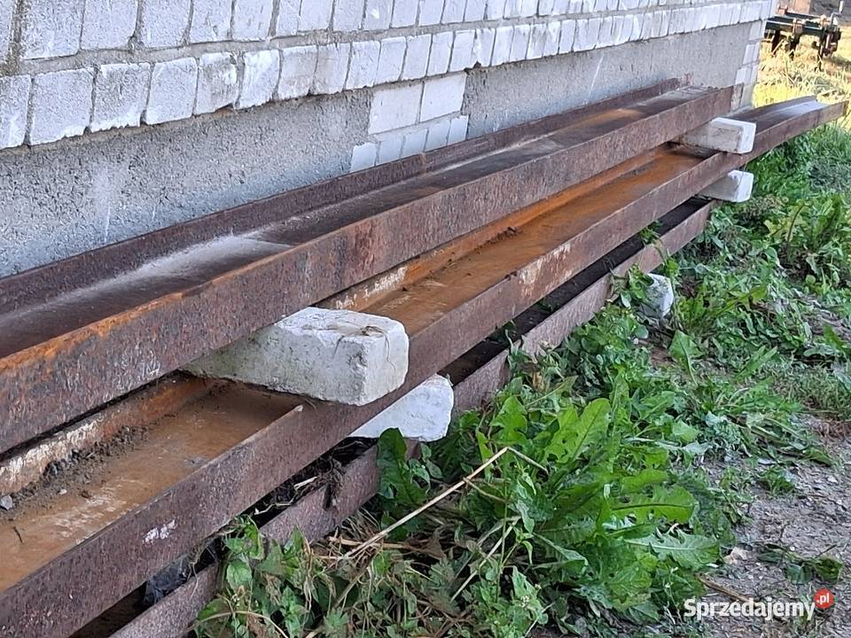 Dwuteownik Czarnocin