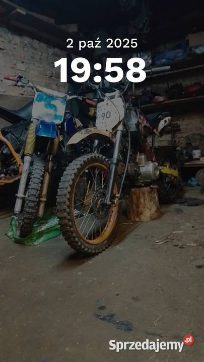 Sprzedam loncina na zdjęciu lubuskie Brody