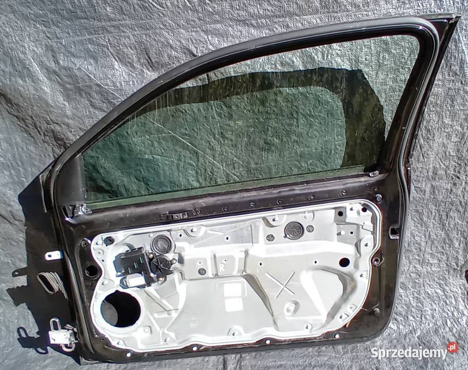 Drzwi prawe lewe VW Polo 9n LC9Z Rok produkcji 2004 Nysa sprzedam