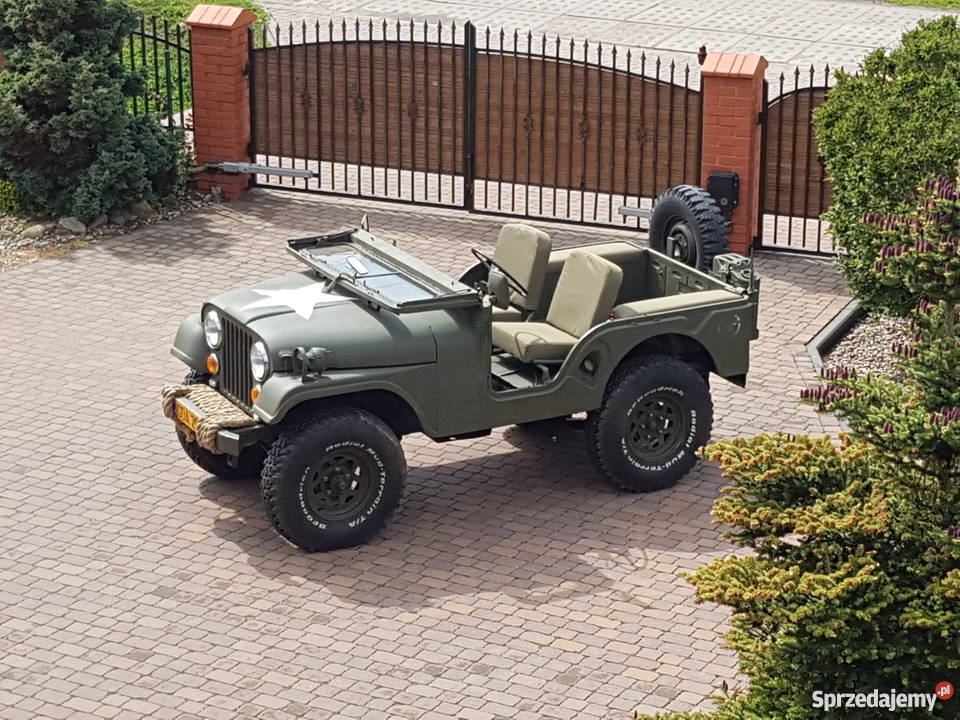 Jeep Willys Overland Motors 50KM Gdańsk