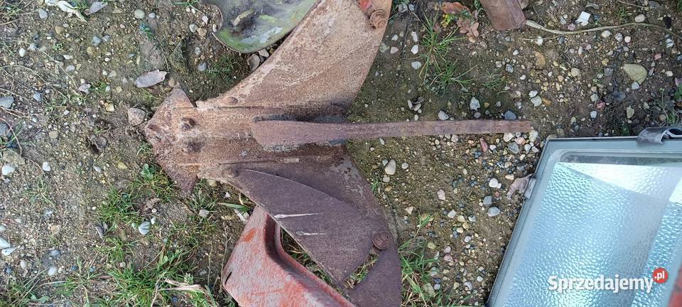 Redła nieuszkodzony wielkopolskie Kalisz