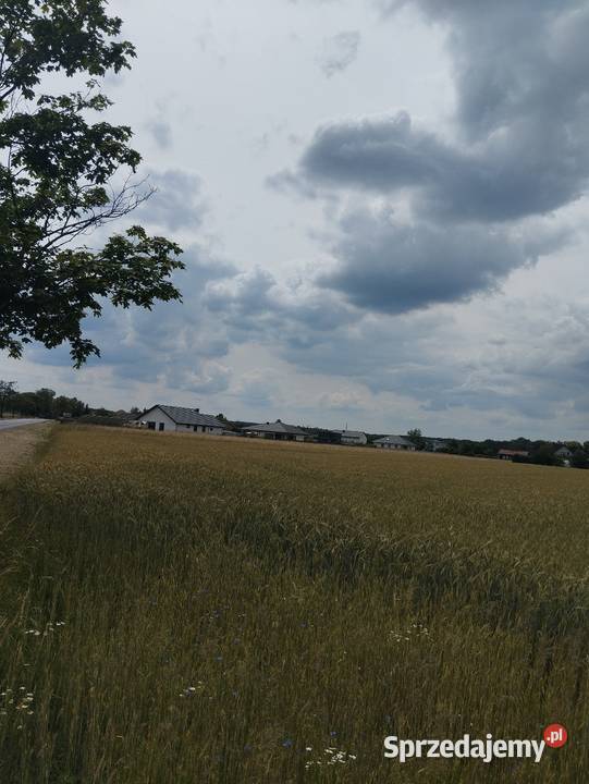 Działka rolno budowlana PIOTRKÓW TRYBUNALSKI łódzkie Piotrków Trybunalski