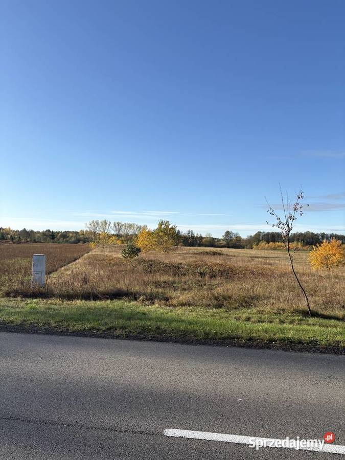 Syndyk sprzeda Sworzyce rolna świętokrzyskie sprzedam