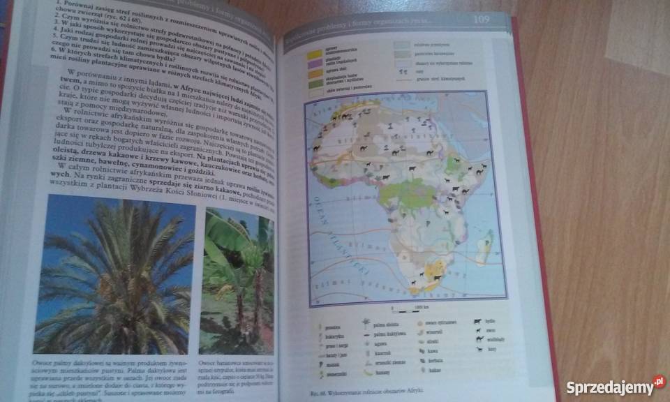Geografia Ziemia planetą życia