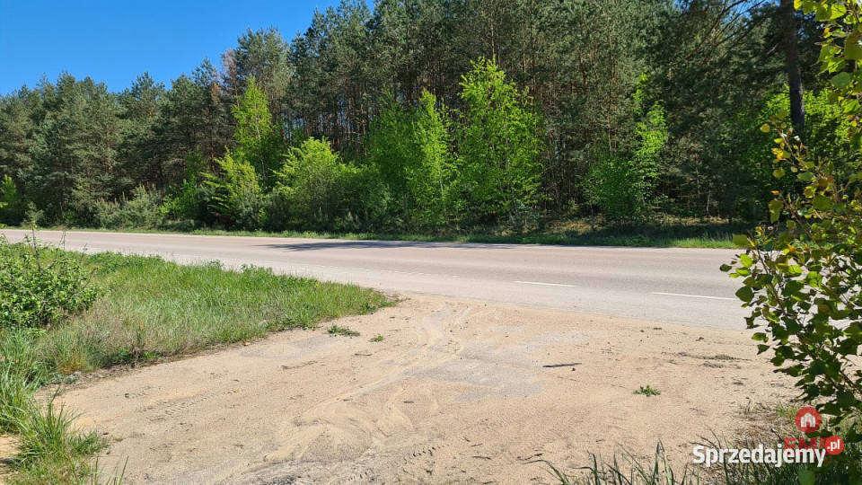 Grunt 4046m2 Wasilków