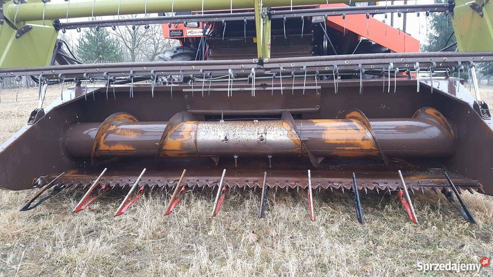 Dronningborg D 3000 S mazowieckie Ostrów Mazowiecka