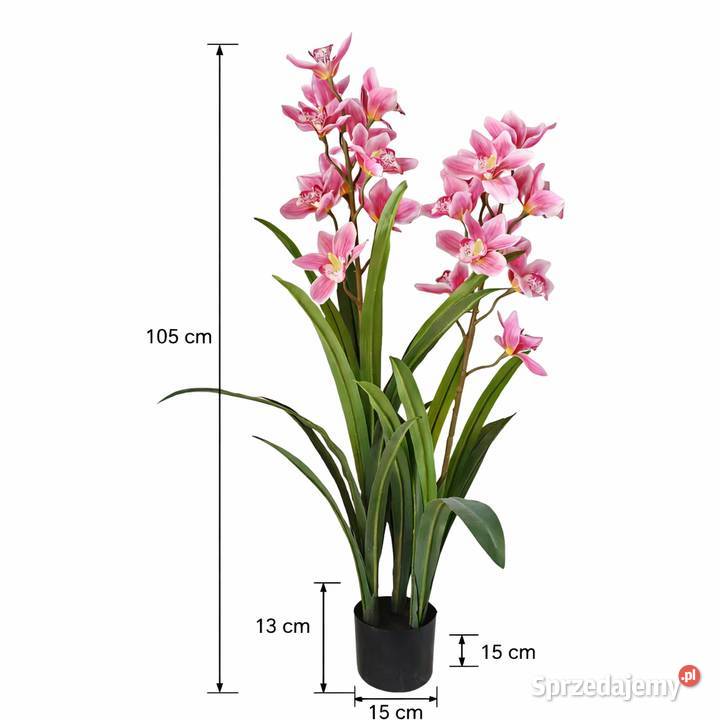Storczyk sztuczny Cymbidium w doniczce 105