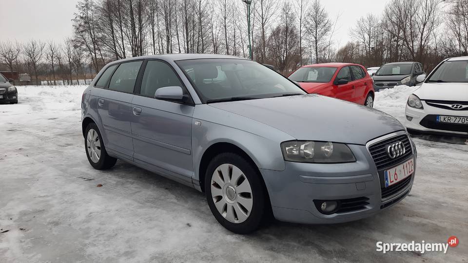 Audi A3 16 Benzyna 5 Drzwi Klima Alu Zadbana szary lubelskie Kraśnik