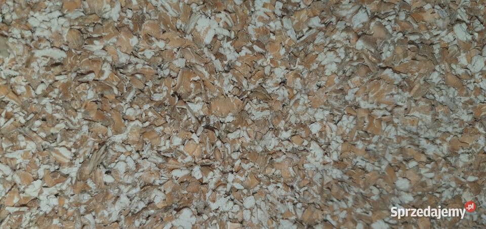 Słonecznik Owies Kukurydza Groch Sorgo Gryka Frydrychowice