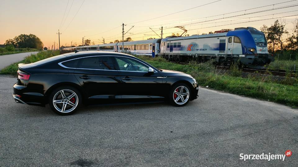 2019 Audi S5 Prestige Czyżew