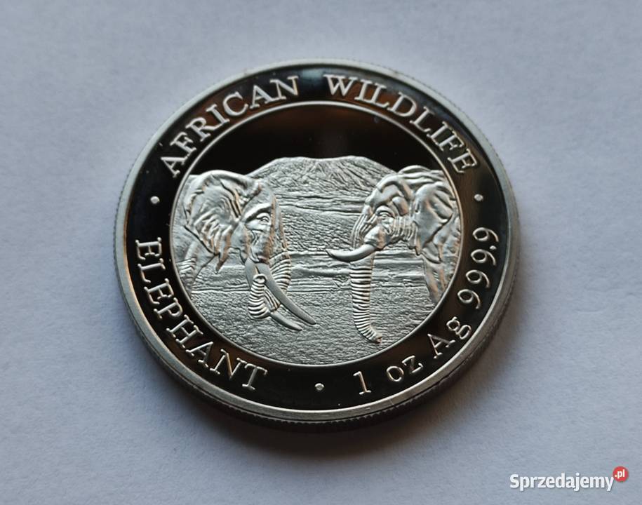 Moneta SOMALIA 100 SHILLINGS 2020 SŁONIE