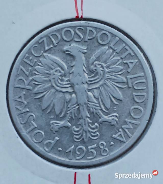 5 złotych Rybak 1958 r 5 Skrętka Konin sprzedam