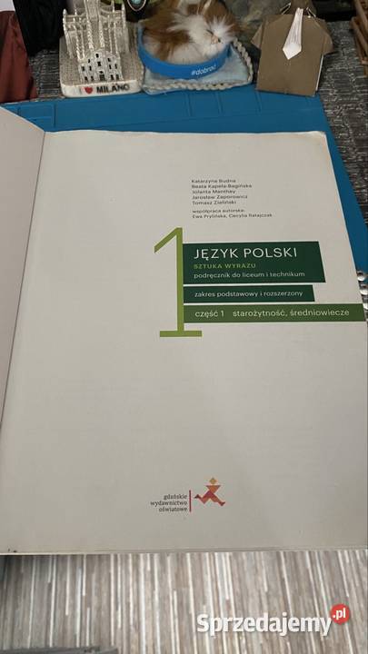 Książkę Język Polski Do technikum liceum śląskie Tychy sprzedam