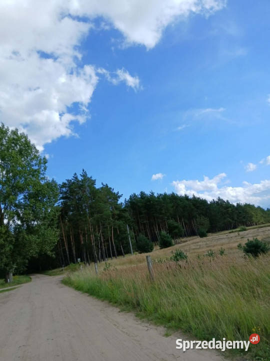 Sprzedam działkę budowlaną Sprzedaż Wymysłowo