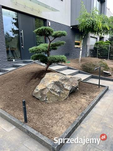 Bonsai rośliny formowane Wieliczka