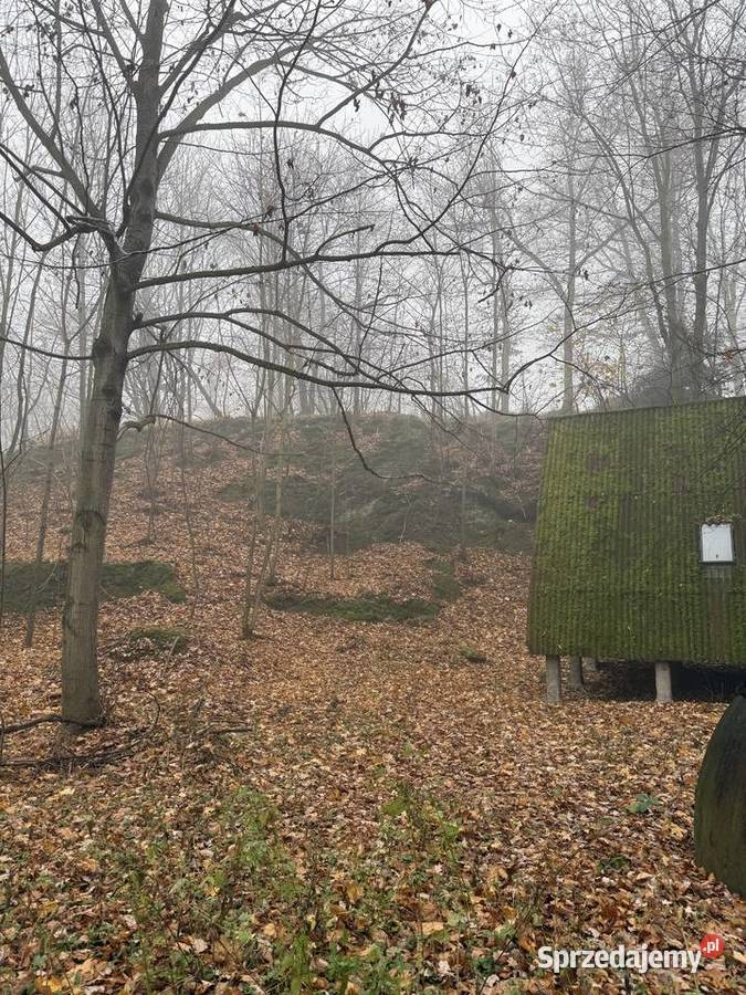 Na sprzedaż wyjątkowa działka 194 ha z domkiem 1940m2 dolnośląskie sprzedam