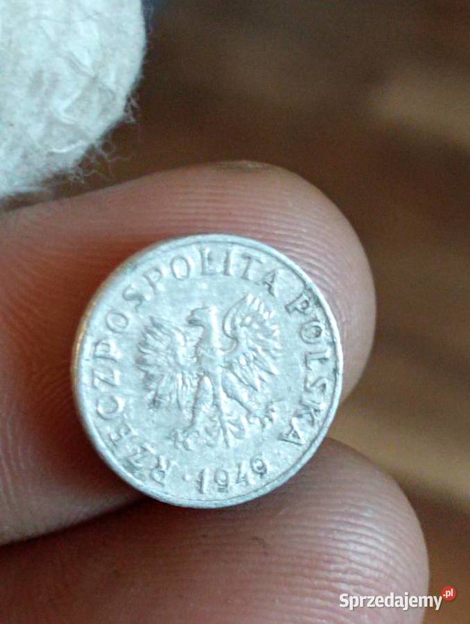 Sprzedam piaty 1 gr 1949 r bzm Chełm sprzedam