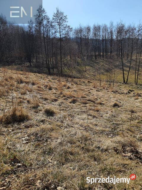 Działka 5000m2 Jazowa Grunty i działki