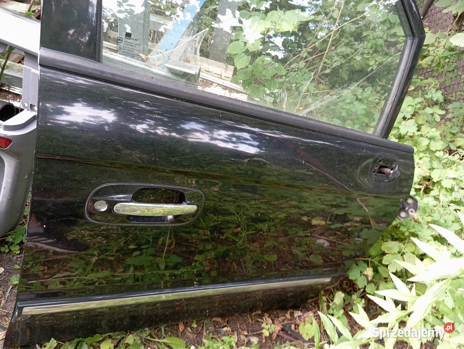 Drzwi Hyundai Trajet czarne 2005