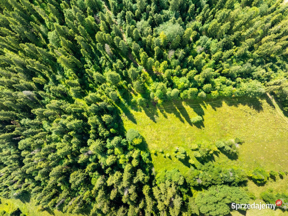 Działka na sprzedaż Bukowina Tatrzańska 44zł/m2 Sprzedaż małopolskie sprzedam