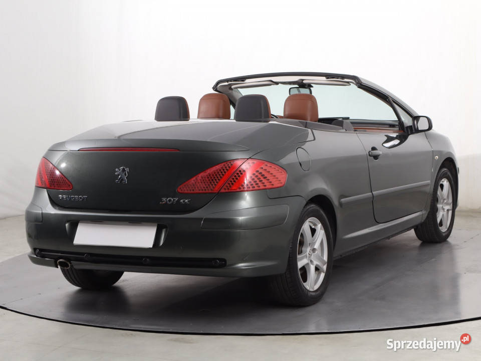 Peugeot 307 20 16V Katowice