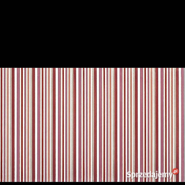 Dekor Diantus burgundy Stripe 25 x 40 Cersanit zachodniopomorskie Białogard