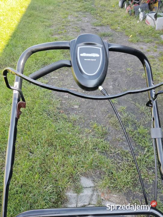 Kosiarka spalinowa Gardiol Editon 1 z napedem Kosiarki spalinowe Pniewy