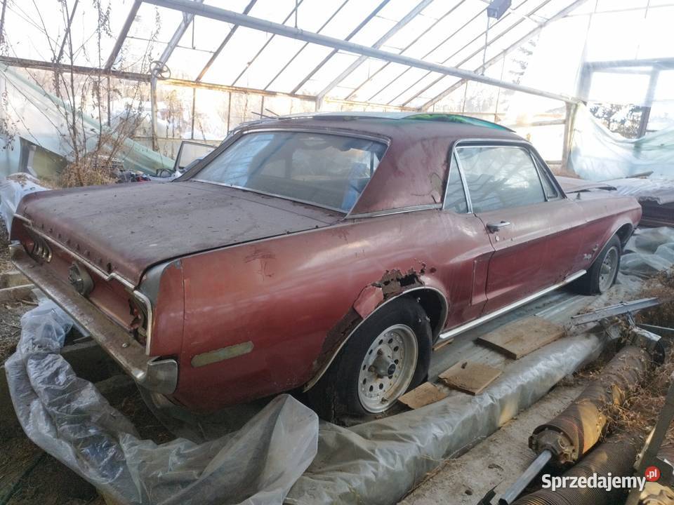 Ford Mustang 1968 lubelskie Lublin