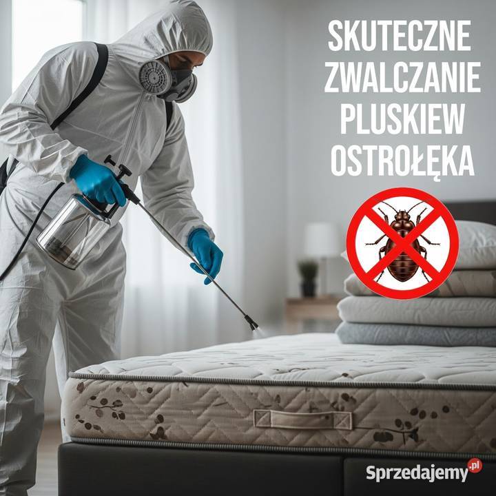 Zwalczanie pluskiew Ostrołęka Odpluskwianie