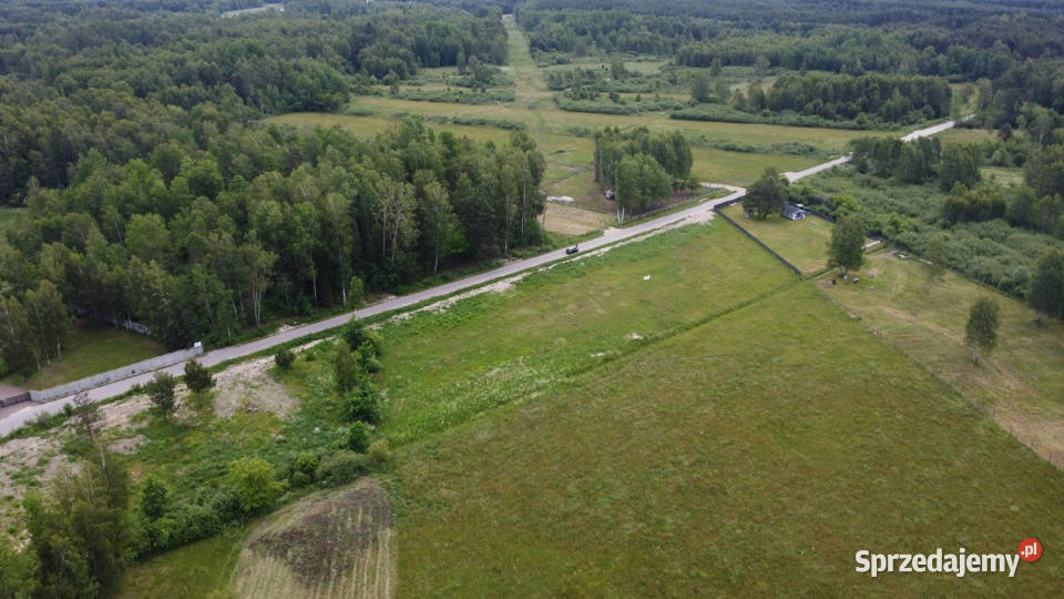 sprzedaży działki 1366m2 Daleszyce sprzedam