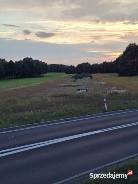 DZIAŁKA INWESTYCYJNA 222 HA KĘPINA Nieruchomości Kępina