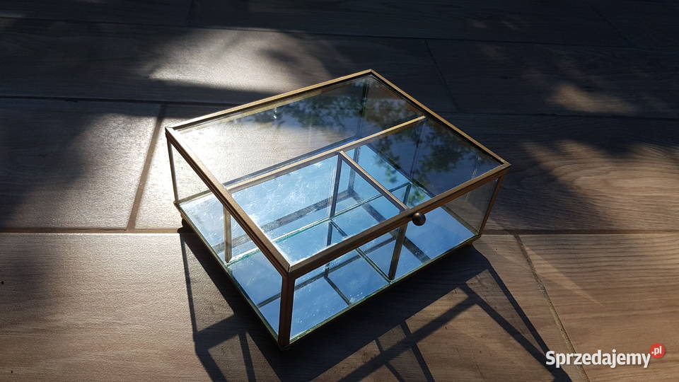 Duza szklana szkatułka Myszków